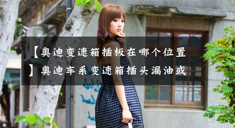 【奥迪变速箱插板在哪个位置】奥迪车系变速箱插头漏油或插脚异位故障案例合集