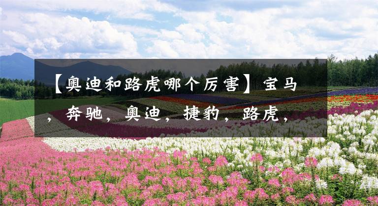 【奥迪和路虎哪个厉害】宝马,奔驰,奥迪,捷豹,路虎,这5个品牌排位怎么排?