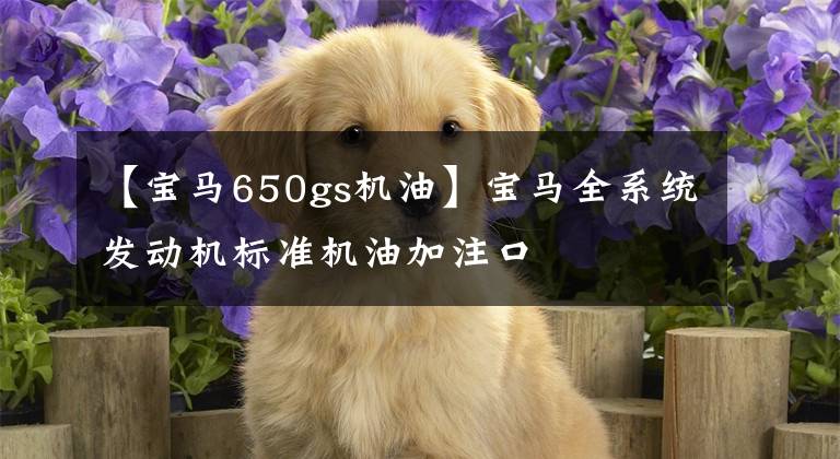 【宝马650gs机油】宝马全系统发动机标准机油加注口