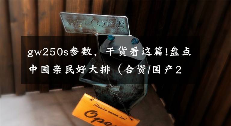 gw250s参数，干货看这篇!盘点中国亲民好大排（合资/国产250~400mL导购）