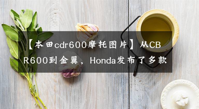 【本田cdr600摩托图片】从CBR600到金翼,Honda发布了多款2022新图案美版车型。