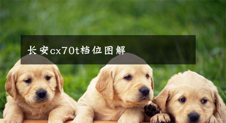 长安cx70t档位图解