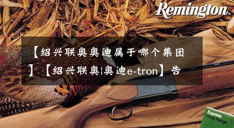 【绍兴联奥奥迪属于哪个集团】【绍兴联奥|奥迪e-tron】告别油价烦恼,彰显尊贵品质