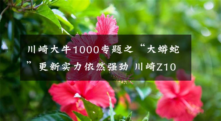 川崎大牛1000专题之“大蟒蛇”更新实力依然强劲 川崎Z1000新款到港实拍