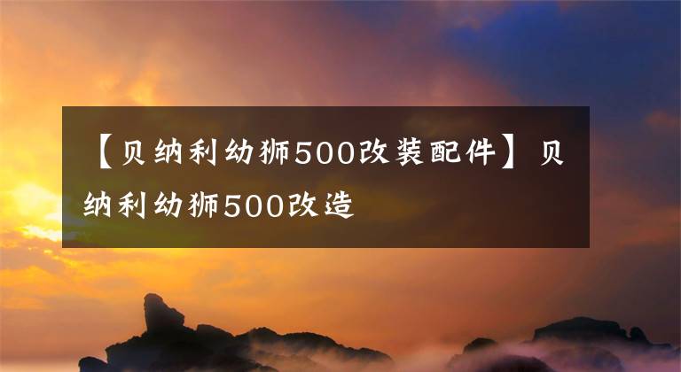 【贝纳利幼狮500改装配件】贝纳利幼狮500改造