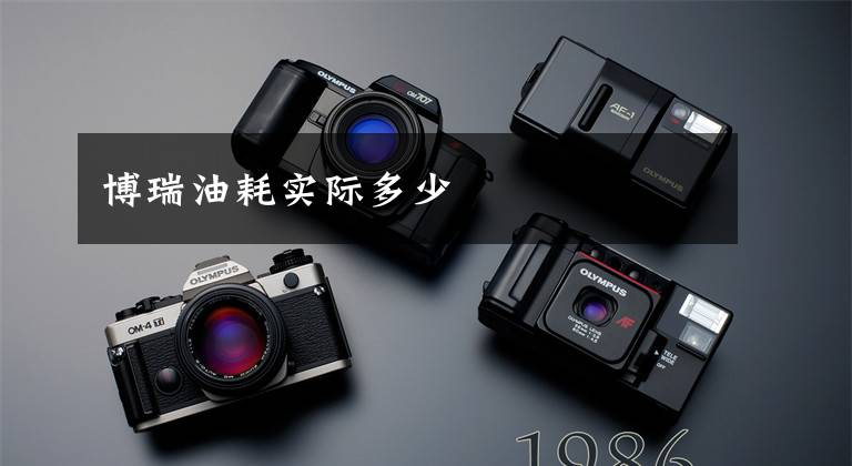 博瑞油耗实际多少
