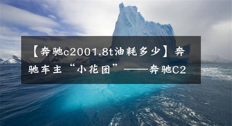 【奔驰c2001.8t油耗多少】奔驰车主“小花团”——奔驰C200，不到20万韩元