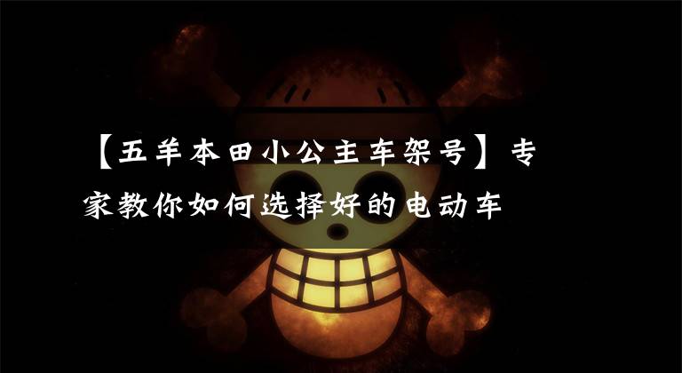 【五羊本田小公主车架号】专家教你如何选择好的电动车