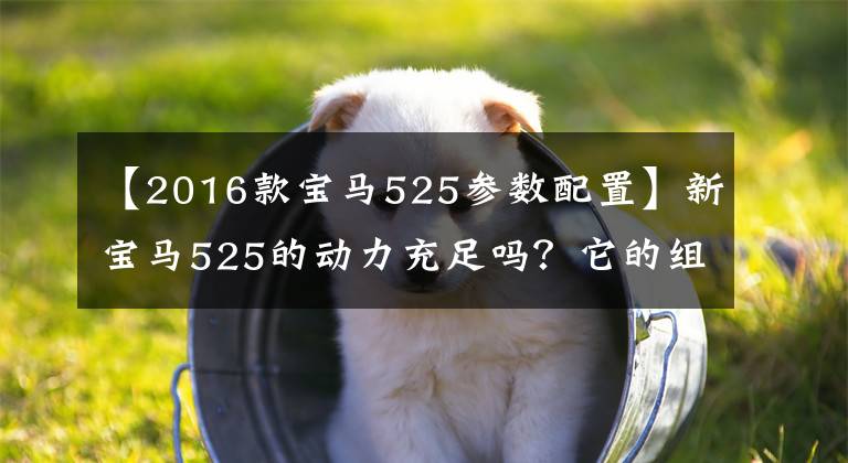 【2016款宝马525参数配置】新宝马525的动力充足吗？它的组成怎么样？请听老司机的评论