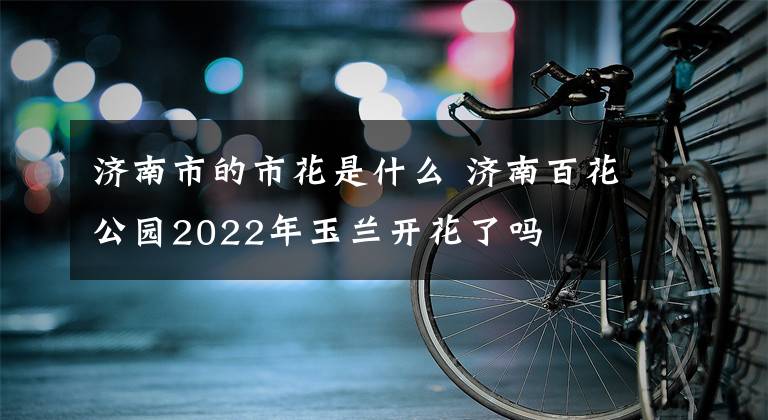 济南市的市花是什么 济南百花公园2022年玉兰开花了吗