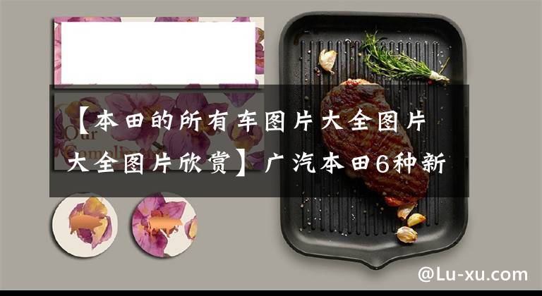 【本田的所有车图片大全图片大全图片欣赏】广汽本田6种新车曝光!新野阁9月开卖,《新思域》年末上市