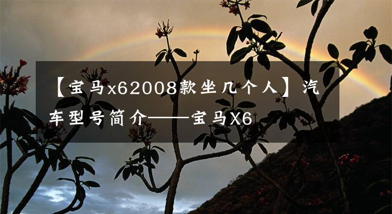 【宝马x62008款坐几个人】汽车型号简介——宝马X6