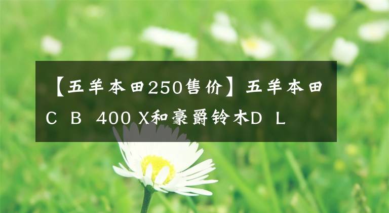 【五羊本田250售价】五羊本田C  B  400 X和豪爵铃木D  L  250辆车，聚集地如何选择？