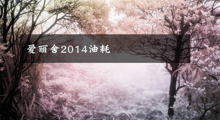 爱丽舍2014油耗
