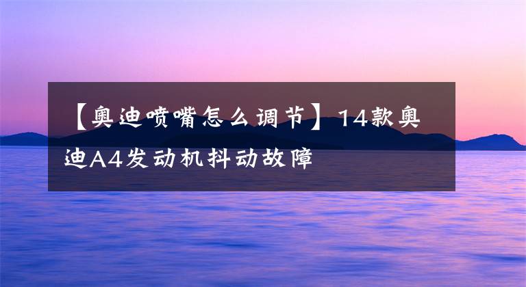 【奥迪喷嘴怎么调节】14款奥迪A4发动机抖动故障