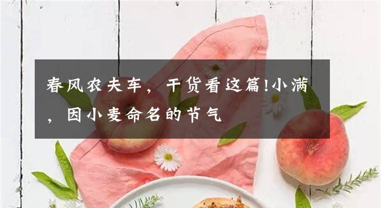 春风农夫车，干货看这篇!小满，因小麦命名的节气