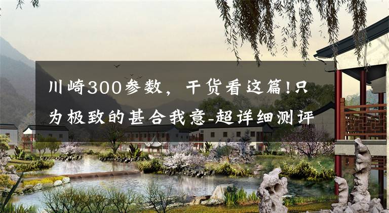 川崎300参数,干货看这篇!只为极致的甚合我意-超详细测评豪爵TR300