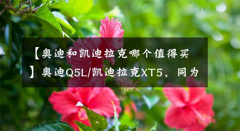 【奥迪和凯迪拉克哪个值得买】奥迪Q5L/凯迪拉克XT5，同为豪华SUV，谁更全能？
