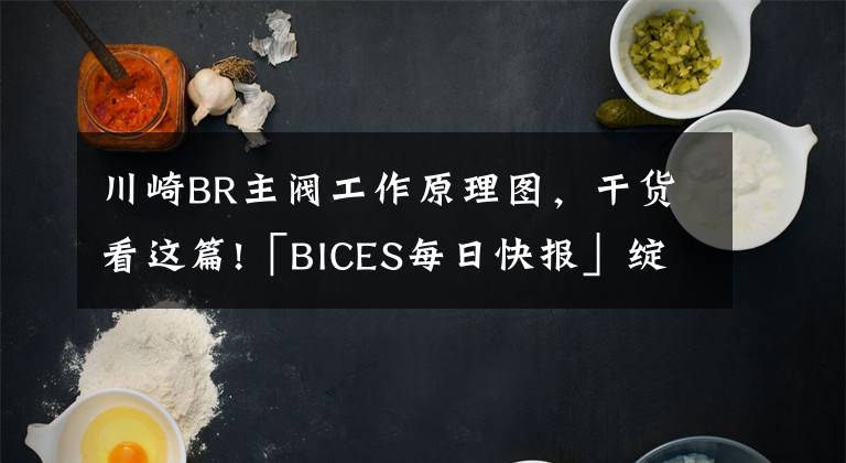 川崎BR主阀工作原理图,干货看这篇!「BICES每日快报」绽放在BICES 2017上的达到国四排放标准的产品