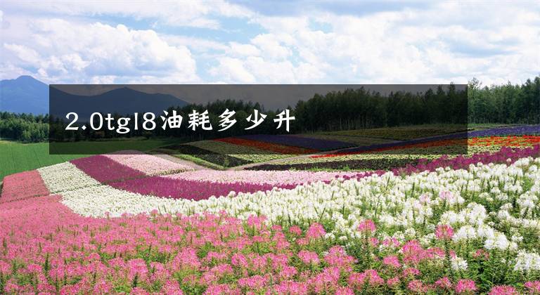 2.0tgl8油耗多少升