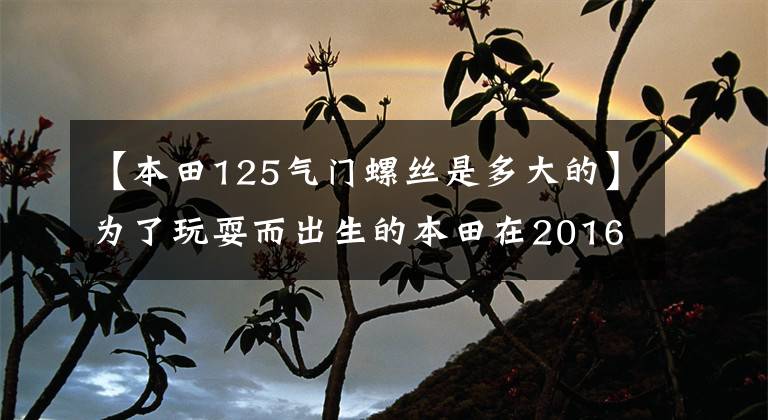 【本田125气门螺丝是多大的】为了玩耍而出生的本田在2016年发行了新型猴子MSX  125