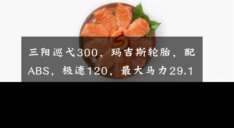 三阳巡弋300,玛吉斯轮胎,配ABS,极速120,最大马力29.1匹