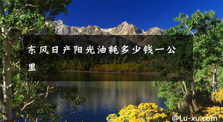 东风日产阳光油耗多少钱一公里