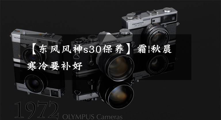 【东风风神s30保养】霜|秋晨寒冷要补好