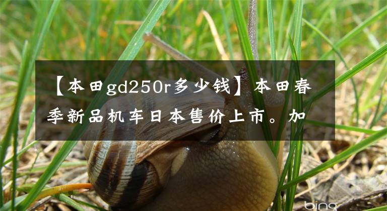 【本田gd250r多少钱】本田春季新品机车日本售价上市。加上关税,可能会怀疑人生