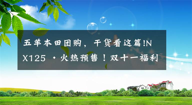 五羊本田团购,干货看这篇!NX125 ·火热预售!双十一福利半价秒、大额神劵,9折抢