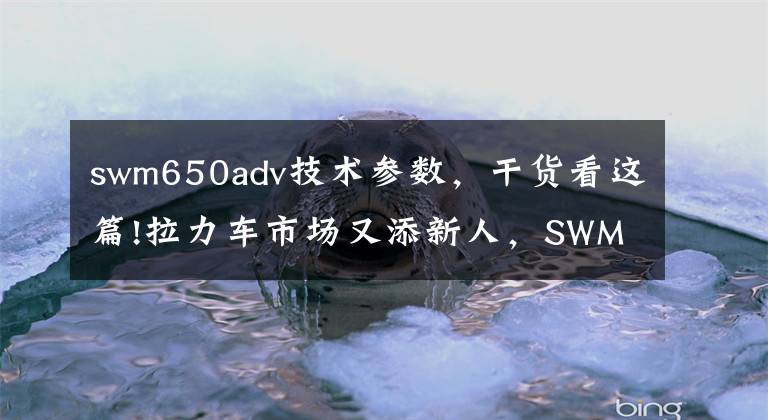 swm650adv技术参数,干货看这篇!拉力车市场又添新人,SWM 650 ADV你见过吗?