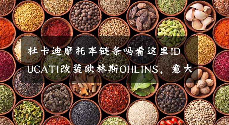杜卡迪摩托车链条吗看这里!DUCATI改装欧林斯OHLINS,意大利AEM,3D黑金链简介