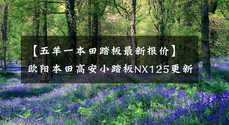 【五羊一本田踏板最新报价】欧阳本田高安小踏板NX125更新，动感贴花，标准CBS，售价9690韩元
