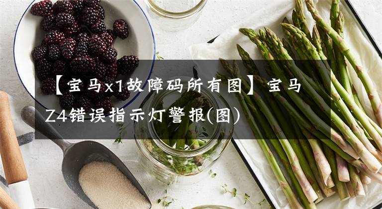 【宝马x1故障码所有图】宝马Z4错误指示灯警报(图)