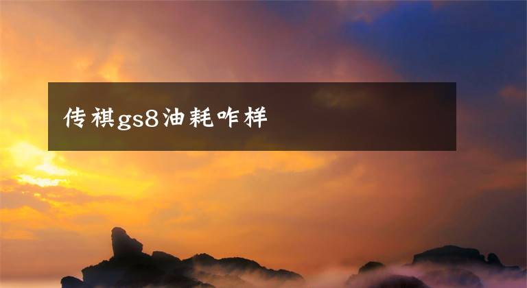 传祺gs8油耗咋样