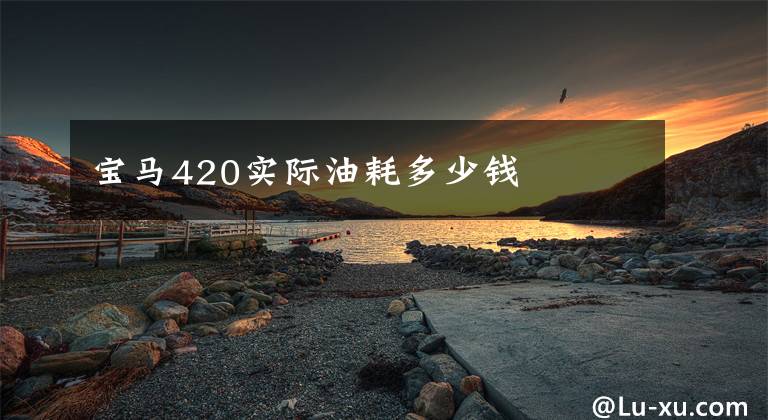 宝马420实际油耗多少钱