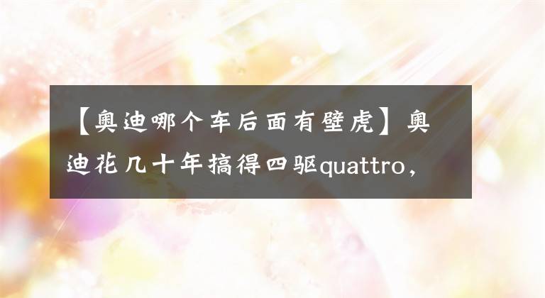 【奥迪哪个车后面有壁虎】奥迪花几十年搞得四驱quattro,现在是个电动车都有双电机了!