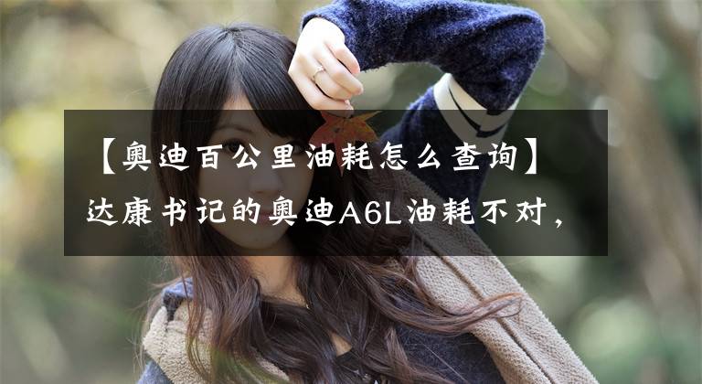 【奥迪百公里油耗怎么查询】达康书记的奥迪A6L油耗不对，看看小白是怎么算的！