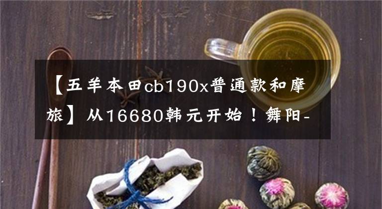 【五羊本田cb190x普通款和摩旅】从16680韩元开始！舞阳-本田新猛禽CB190X再进化