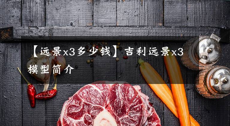【远景x3多少钱】吉利远景x3模型简介