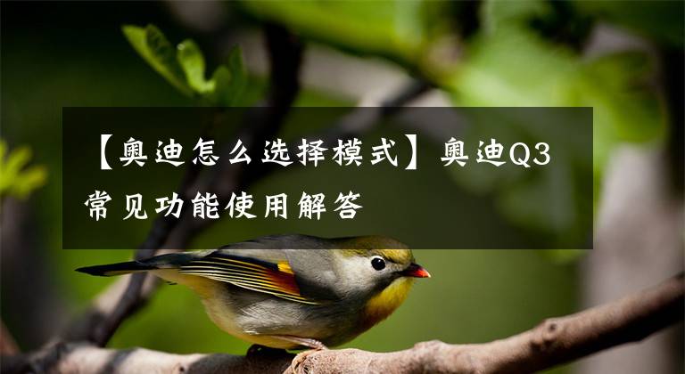 【奥迪怎么选择模式】奥迪Q3常见功能使用解答