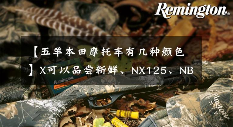 【五羊本田摩托车有几种颜色】X可以品尝新鲜、NX125、NB-X试驾体验！代替通勤机构的选择。
