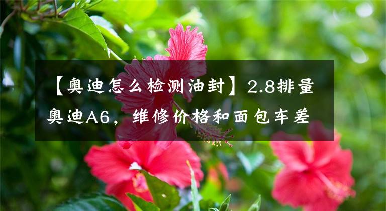 【奥迪怎么检测油封】2.8排量奥迪A6，维修价格和面包车差不多，就全当修拖拉机