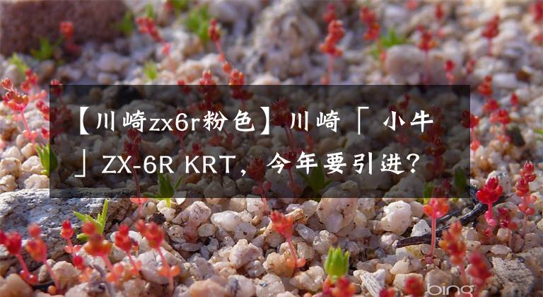 【川崎zx6r粉色】川崎「 小牛 」ZX-6R KRT,今年要引进?