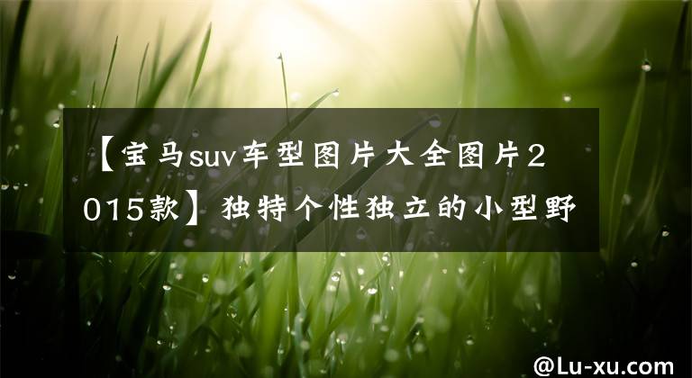 【宝马suv车型图片大全图片2015款】独特个性独立的小型野马,2015年款宝马3系GT