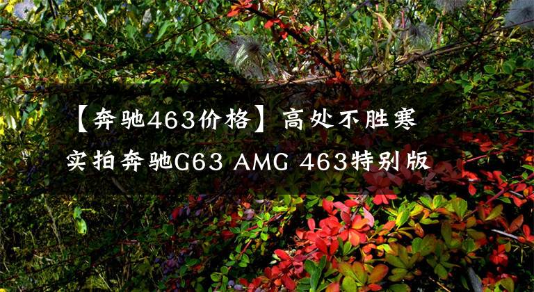 【奔驰463价格】高处不胜寒 实拍奔驰G63 AMG 463特别版