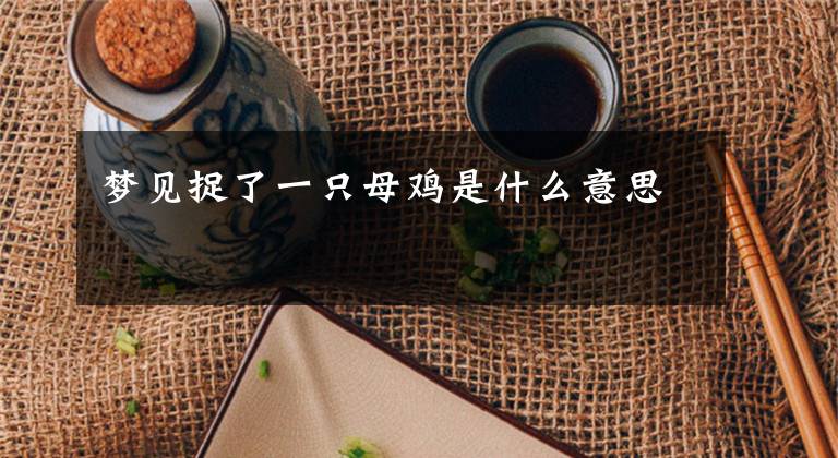 梦见捉了一只母鸡是什么意思