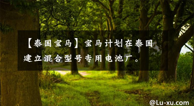 【泰国宝马】宝马计划在泰国建立混合型号专用电池厂。