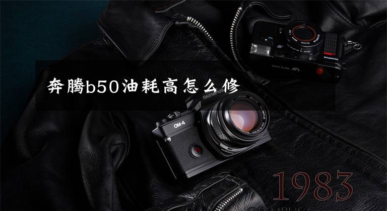 奔腾b50油耗高怎么修