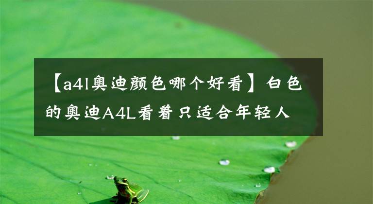 【a4l奥迪颜色哪个好看】白色的奥迪A4L看着只适合年轻人